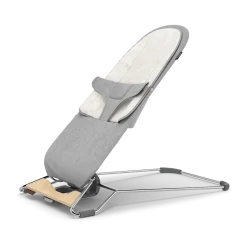 Mira 2-in-1 Bouncer and Seat
