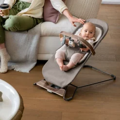 Mira 2-in-1 Bouncer and Seat