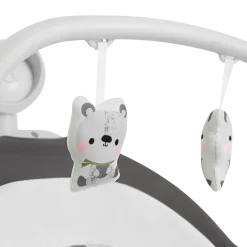 Miso 2-in-1 Swing & Rocker