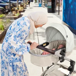 Modes Nest Travel System