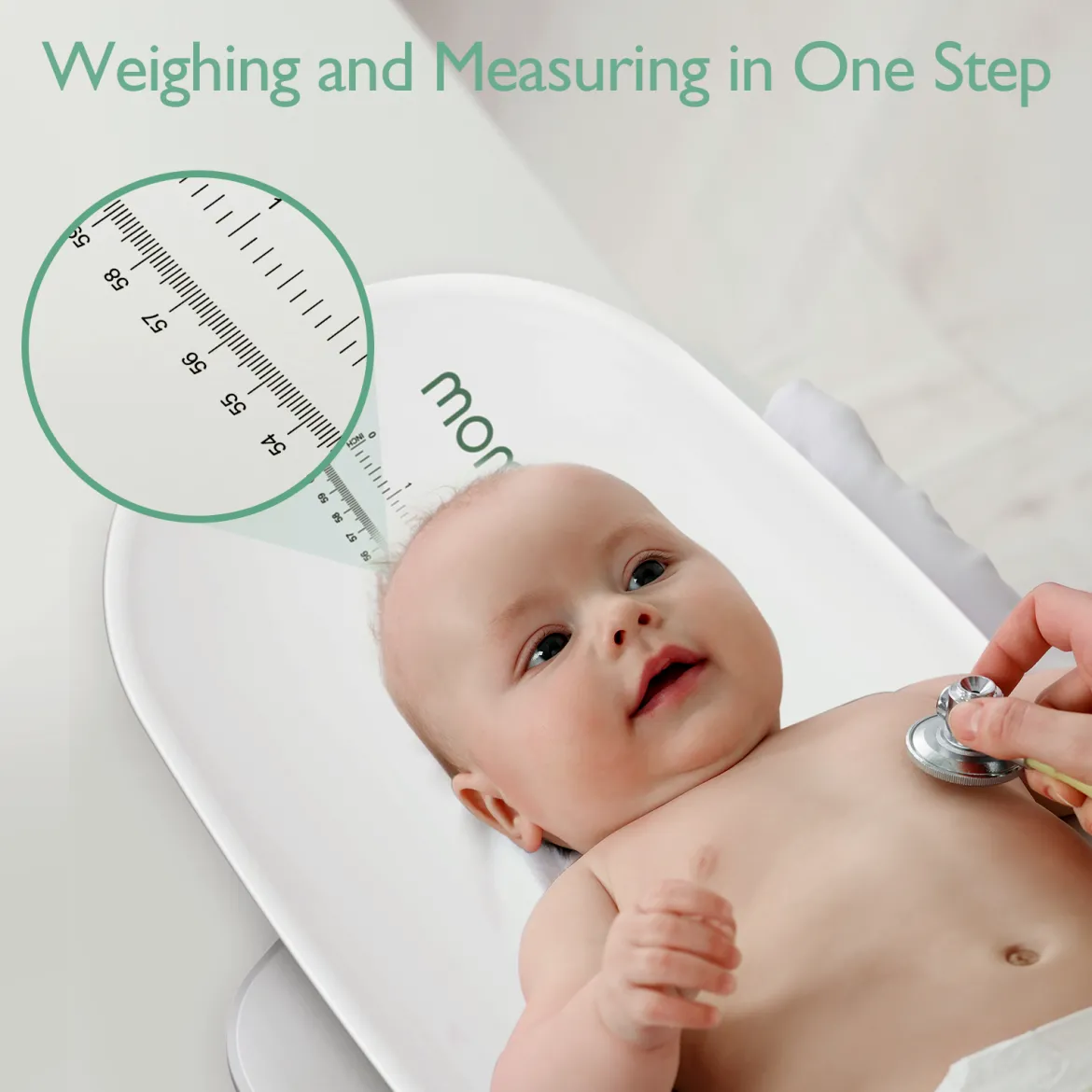 Multi-Function Baby Scale