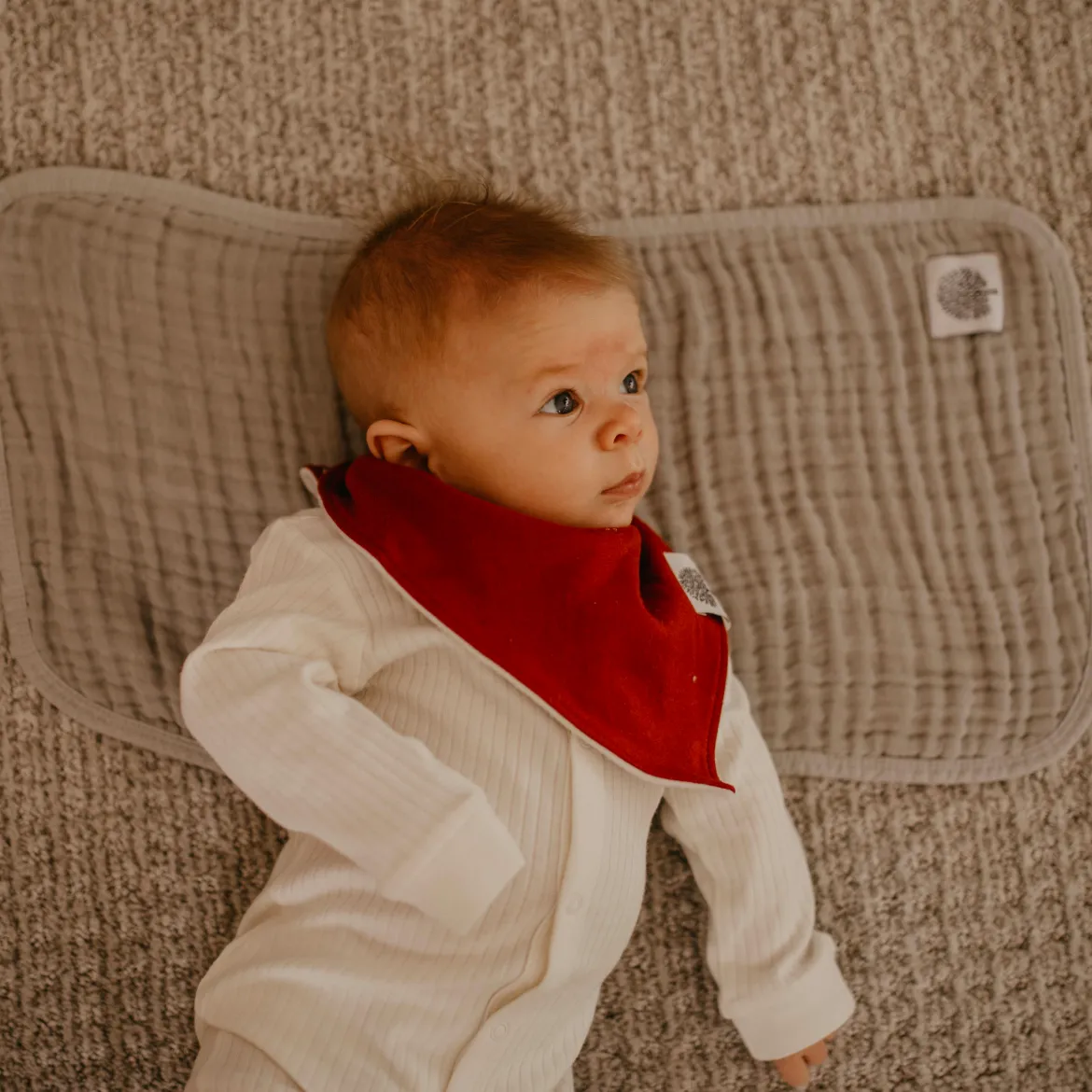 Muslin Cotton Burp Cloths (4-Pack)