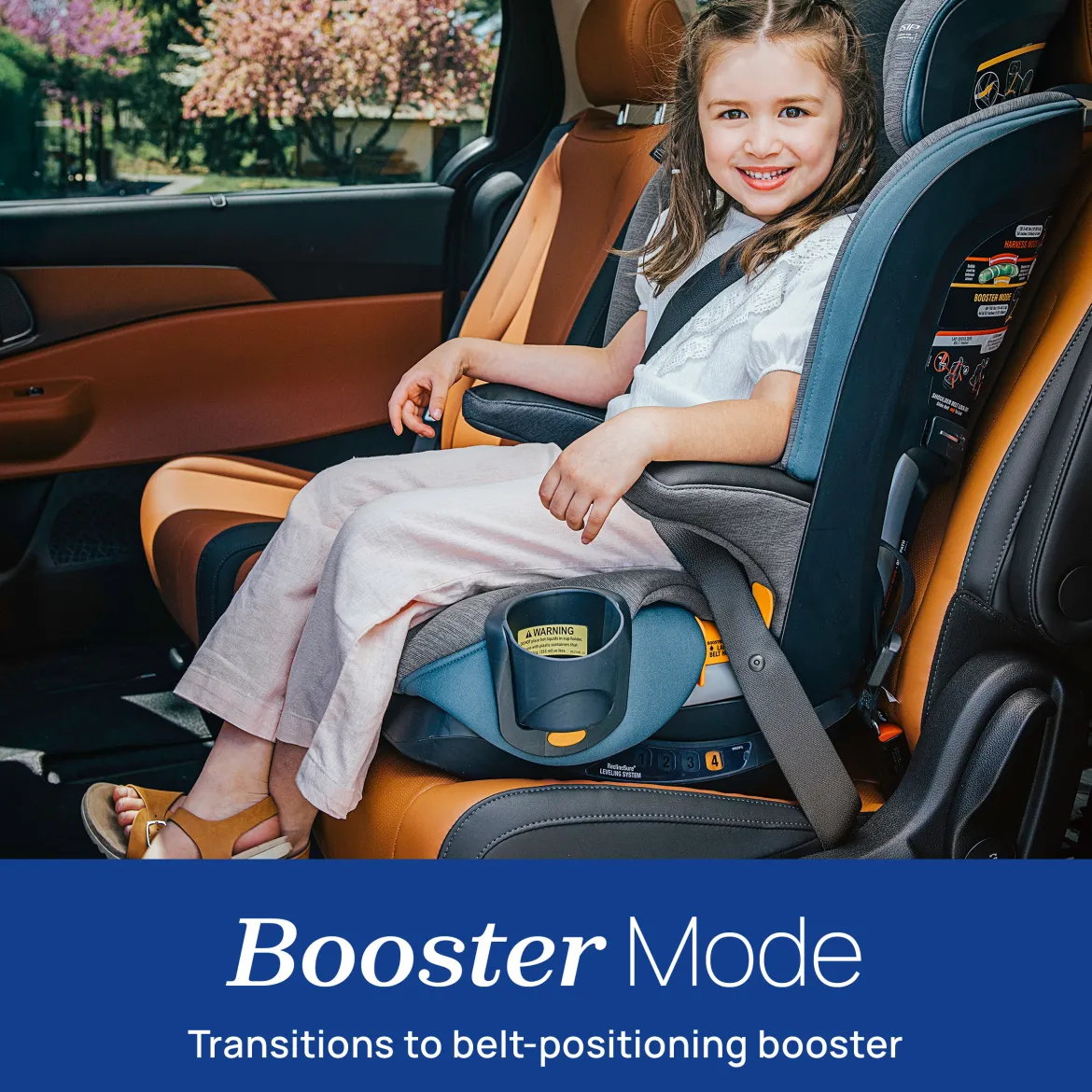 MyFit ClearTex Harness + Booster Car Seat