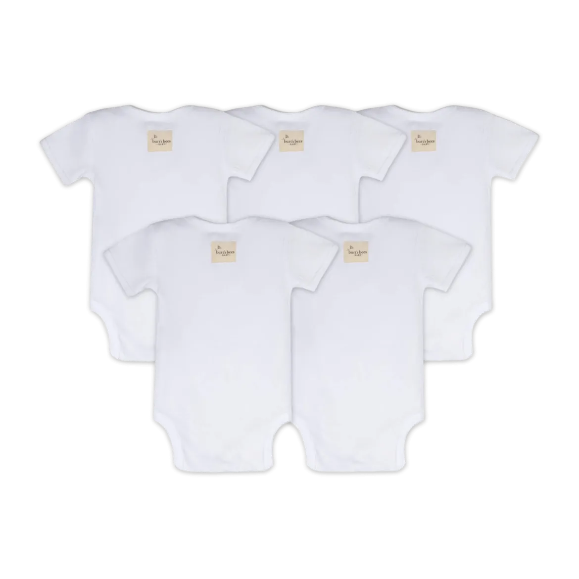 Organic Short Sleeve Bodysuit (5 Pack)