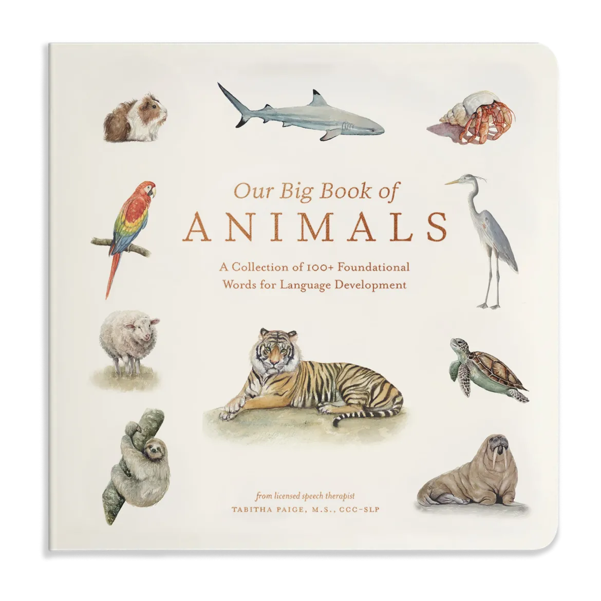 Our Big Book of Animals