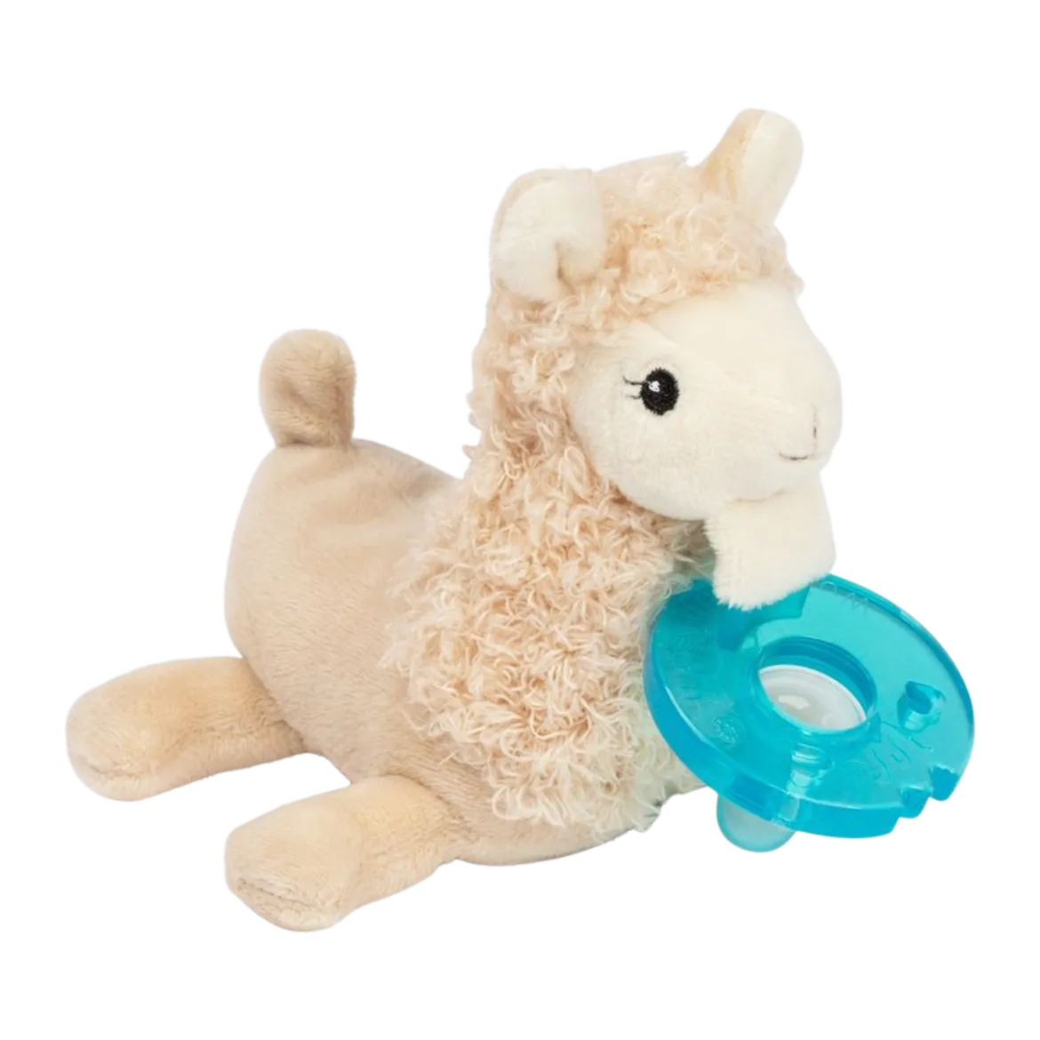 Pacifier