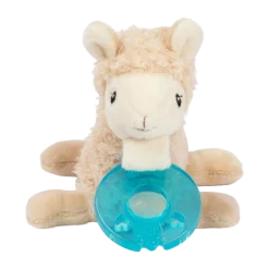 Pacifier