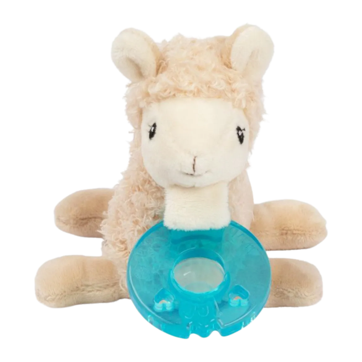 Pacifier