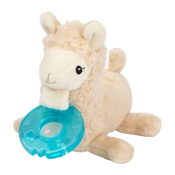 Pacifier