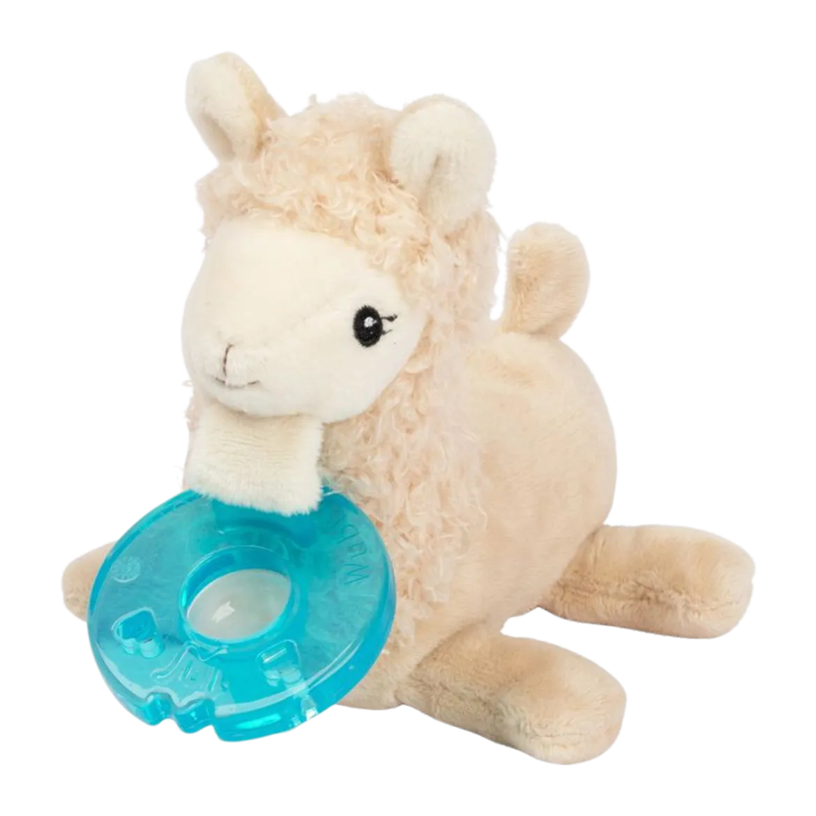 Pacifier
