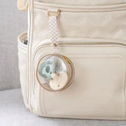 Pacifier Case