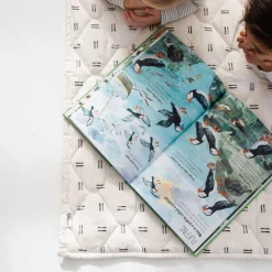 Picnic Blanket