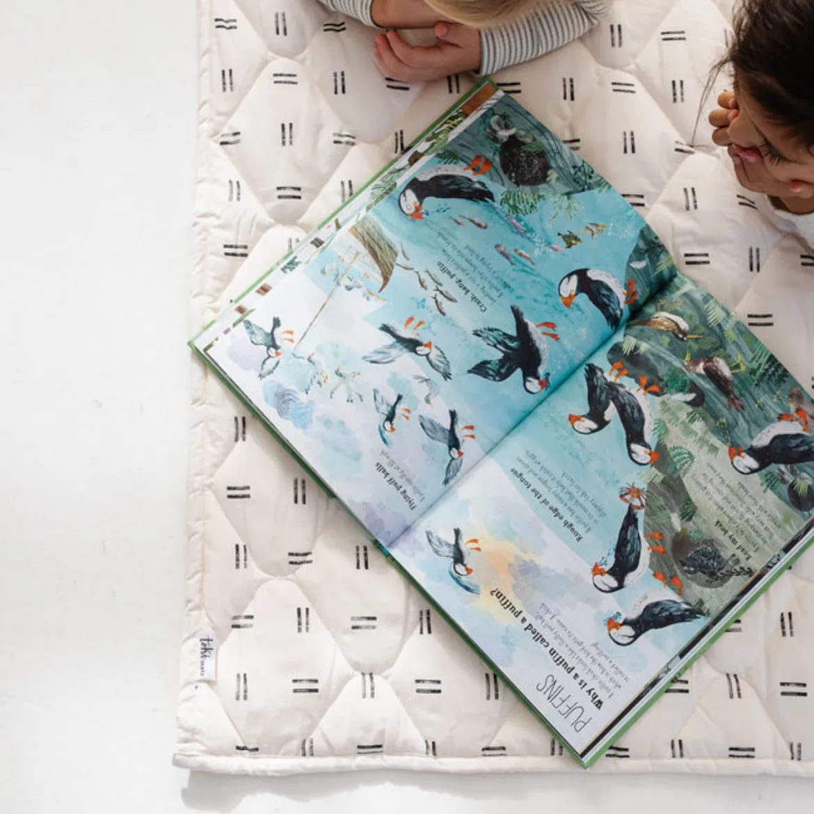 Picnic Blanket