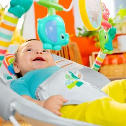 Playful Paradise Vibrating Baby Bouncer with Toys