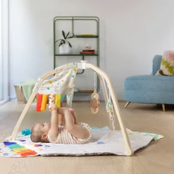 Play Gym & Sensory Strands Bundle