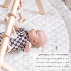 Play Gym Set