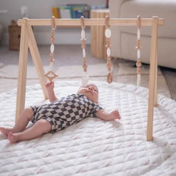 Play Gym Set