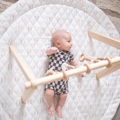Play Gym Set