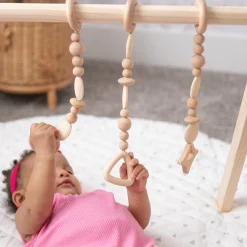 Play Gym Set