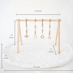 Play Gym Set