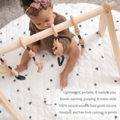 Play Gym Set