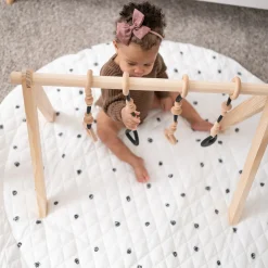 Play Gym Set