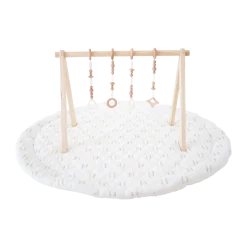 Play Gym Set