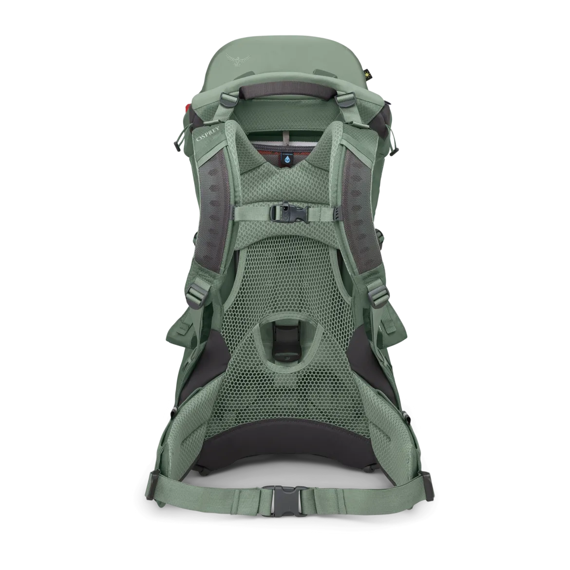 Poco Child Carrier