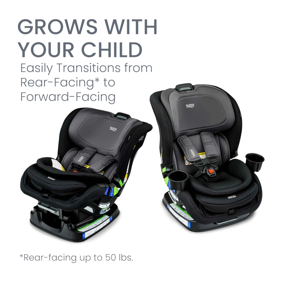 Poplar Convertible Car Seat