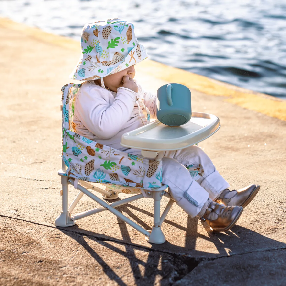Portable Booster Chair