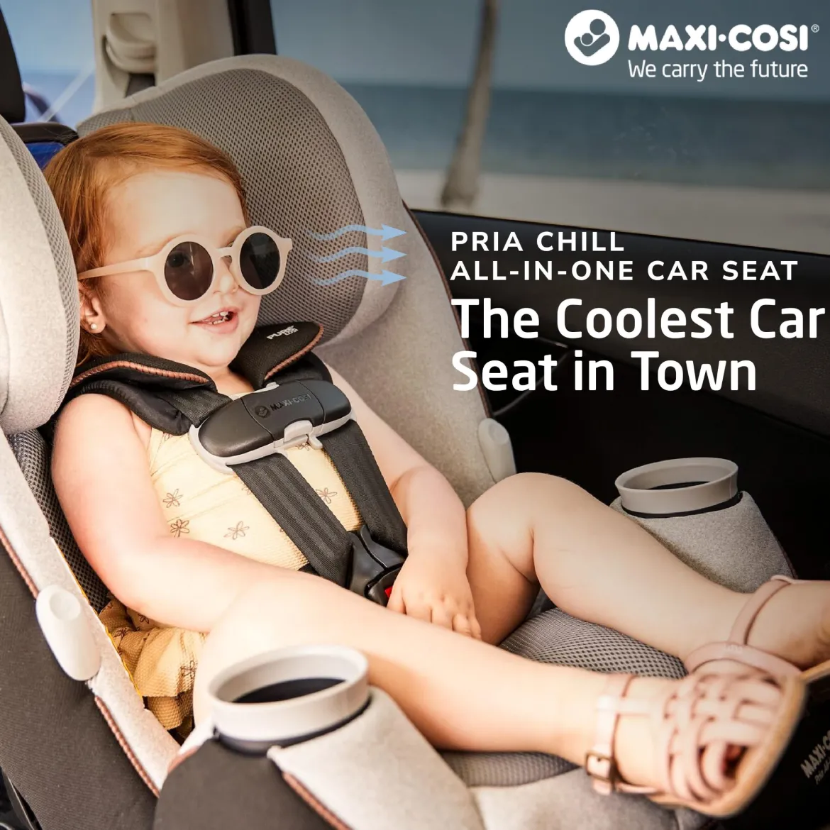 Pria Chill All-in-One Convertible Car Seat