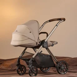 Reef 2 Stroller
