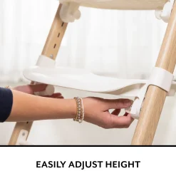 RightSeat Multistage High Chair & Cushion