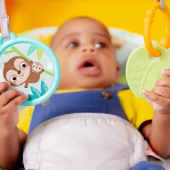 Safari Fun Vibrating Bouncer with Toy Bar