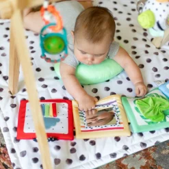 Sassy x Babylist Sensory Stages Developmental Play Gym