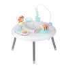 Seascape 2-in-1 Activity Center