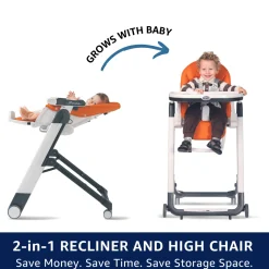 Siesta Grow With Baby Folding High Chair & Recliner