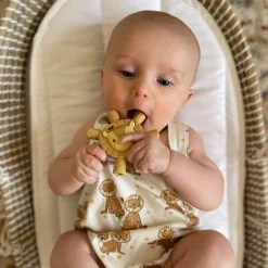 Silicone Molar Teether