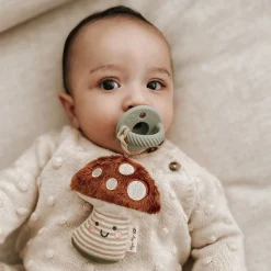 Silicone Pacifier and Plush Pal