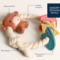Silicone Teether with Rattle