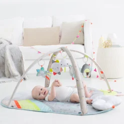 Silver Lining Cloud Activity Gym
