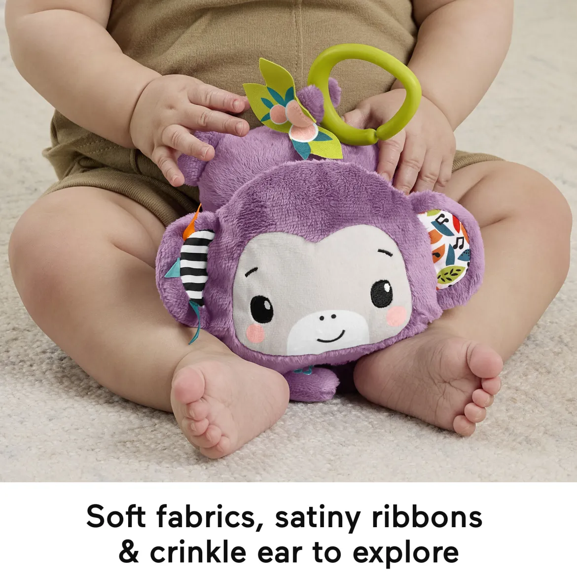 Sing & Go Purple Monkey