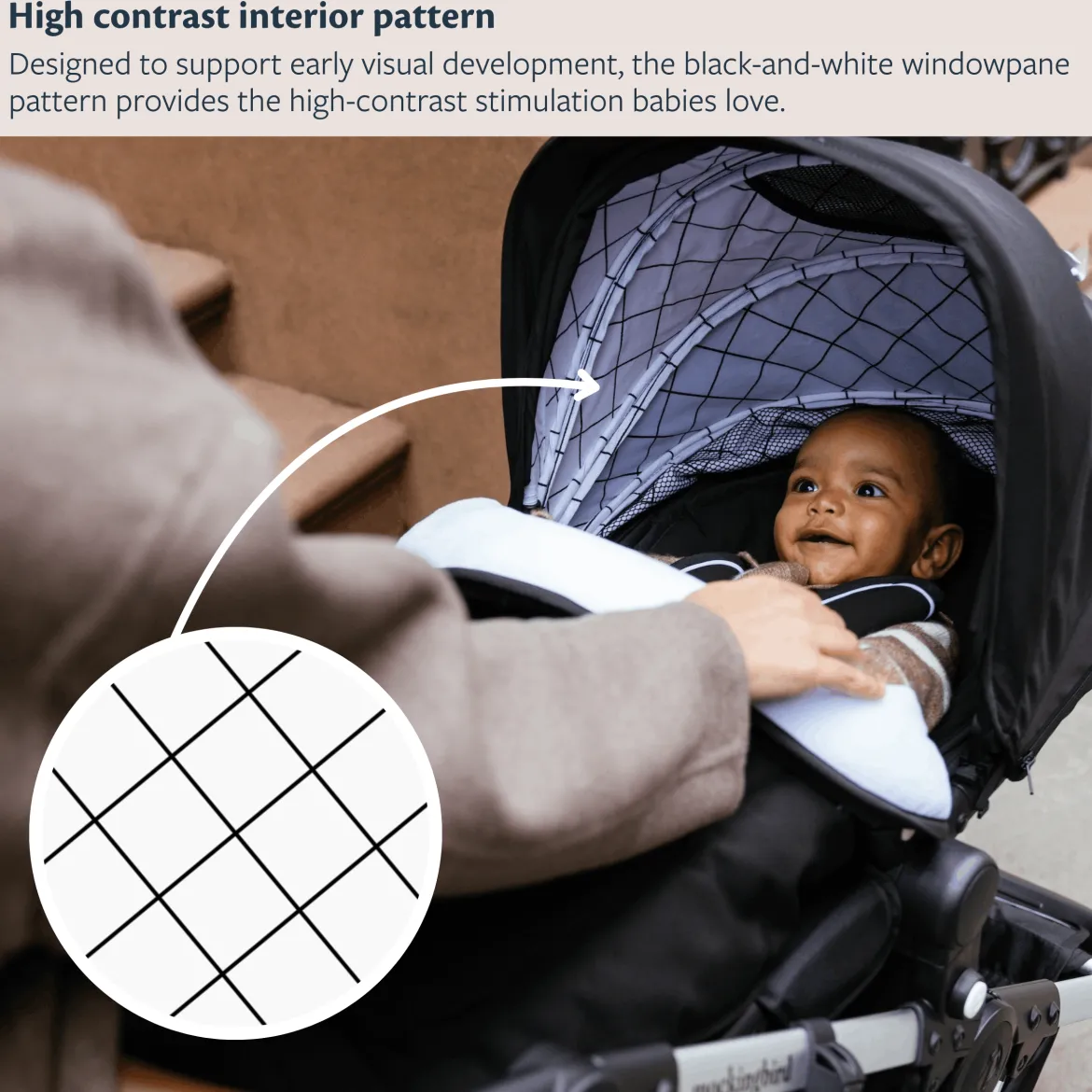 Single-to-Double Stroller 3.0