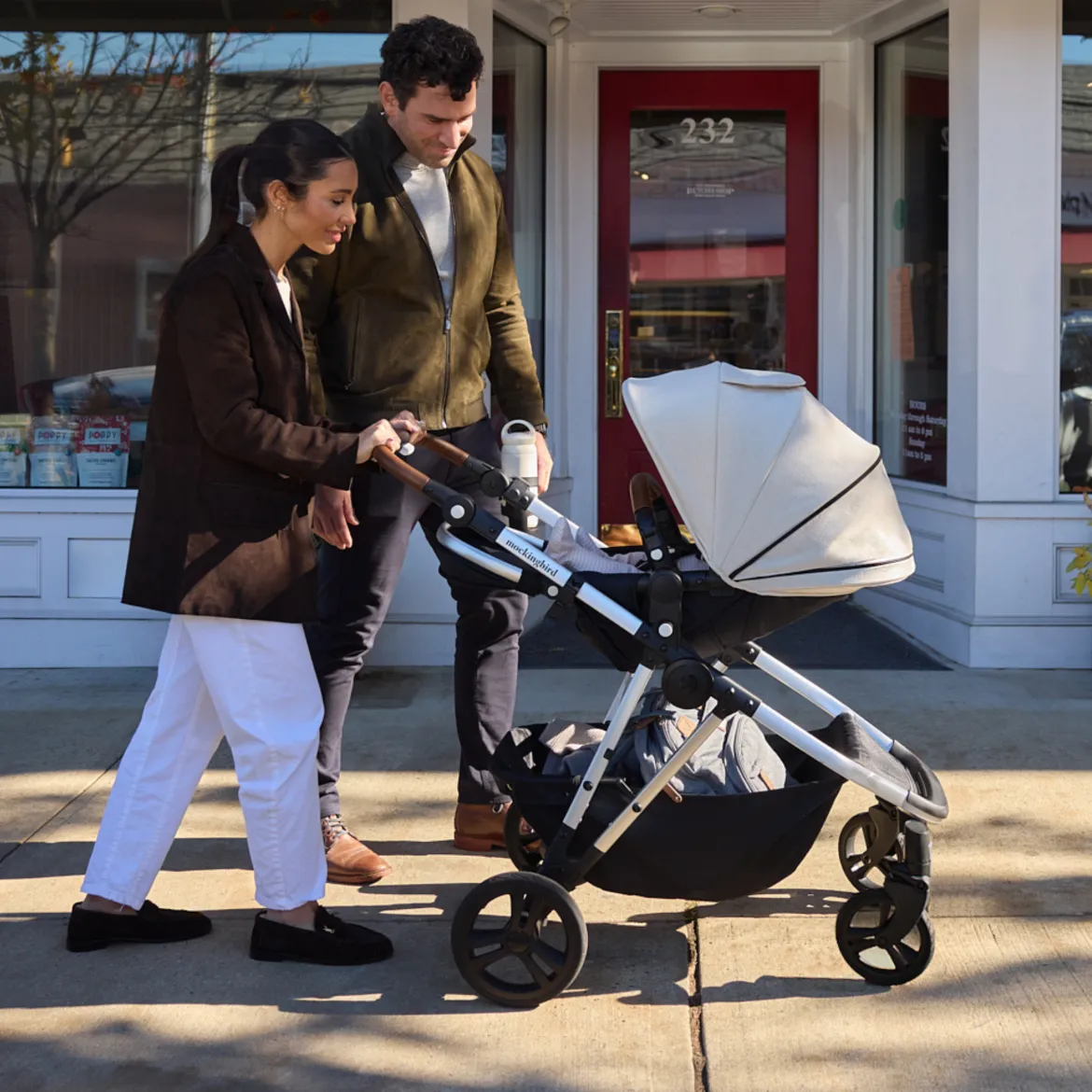 Single-to-Double Stroller 3.0
