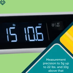 Smart Family Scale