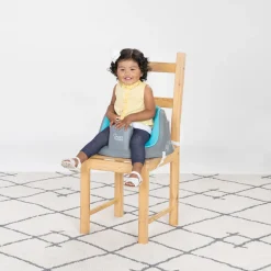 Smart Steps Explore N Play 5-in-1 Activity to Booster Seat