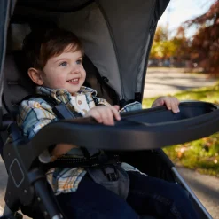 Smooth Ride QCM Travel System