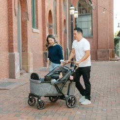 Sprout Stroller/Wagon