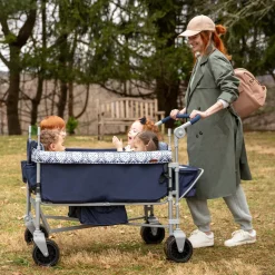 Summit Quad Wagon Stroller