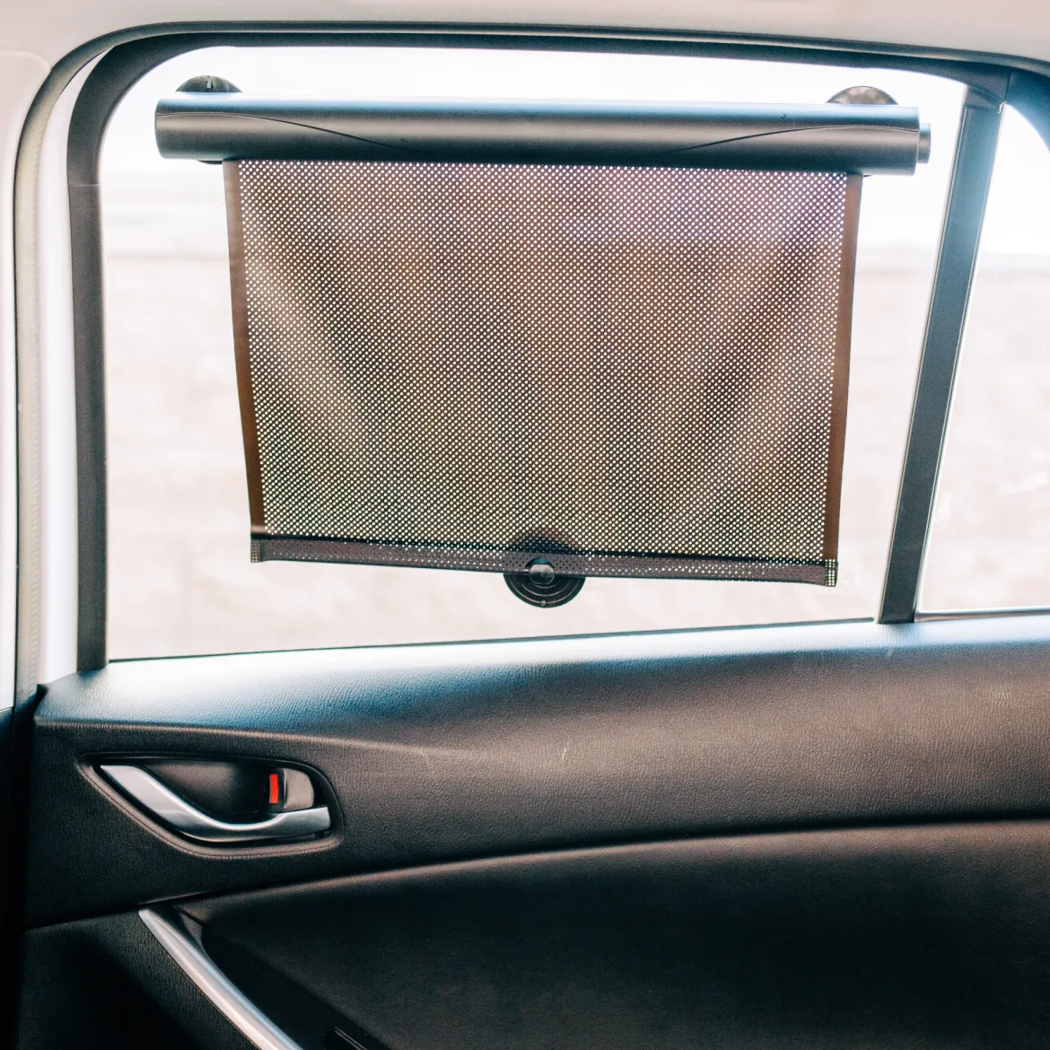Sun Shades (2-Pack)